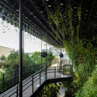 canopy-walk-c-singapore-pavilion-expo-2020-dubai